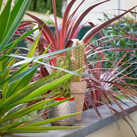 Annick Joli Avec Parking Et Jardin Rouen